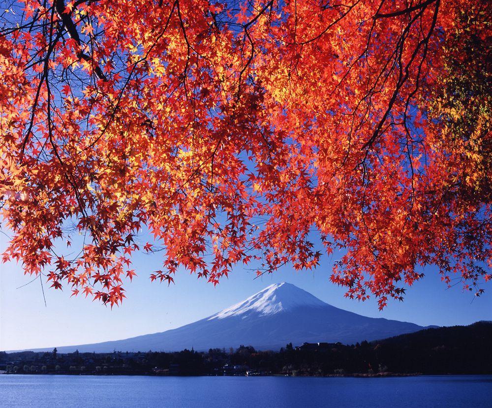 Fuji 酒店 4*